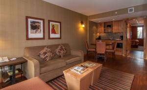 Superior One Bedroom Suite - Living